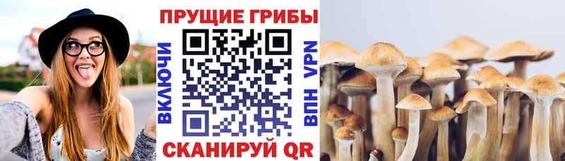Псилоцибиновые грибы MAGIC MUSHROOMS  купить   Игарка 